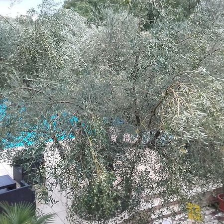 Villa Carolina Tar-Vabriga Екстер'єр фото